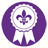 TeamRaiser Achievement Badge